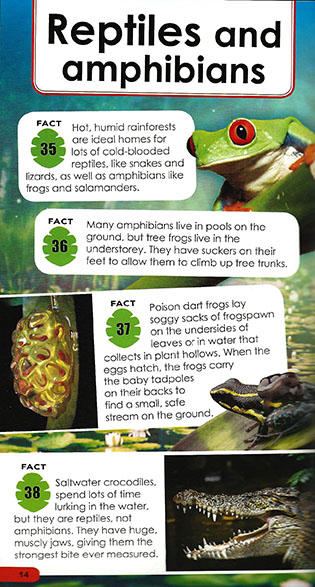 Learning is Fun. 100 FACTS FOR KIDS-RAINFORESTS