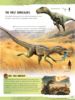 Picture of AMAZING FACTS-DINOSAURS